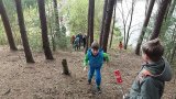 Podolská šlápota